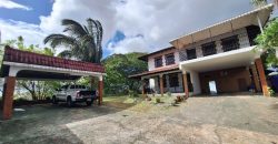 For Rent: Spacious House in El Dorado (#28-E), Ideal for Executives with Large Families and Pets