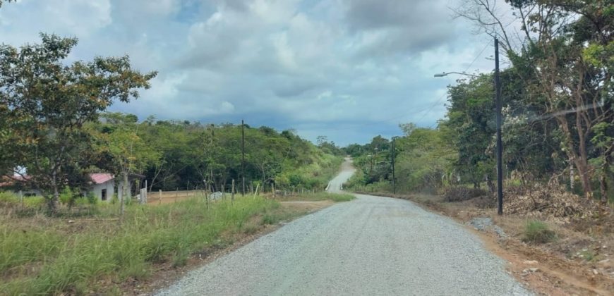 For Sale or Lease Great Investment Opportunity in Juan Díaz!