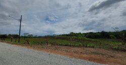 For Sale or Lease Great Investment Opportunity in Juan Díaz!