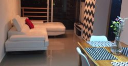 Remodeled 2-Bedroom Apartment for Sale in Río Abajo