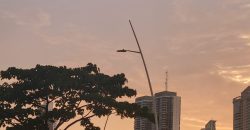 Charming Studio Apartment for Rent in Punta Paitilla – Modern Living at $700