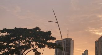 Charming Studio Apartment for Rent in Punta Paitilla – Modern Living at $700