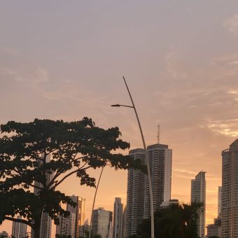 Charming Studio Apartment for Rent in Punta Paitilla – Modern Living at $700