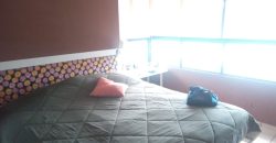 1-Bedroom Apartment with Ocean View