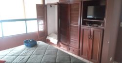 1-Bedroom Apartment with Ocean View