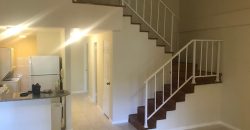 White Line Apartments for Sale in Albrook